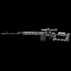 【SR】SVD Zebra