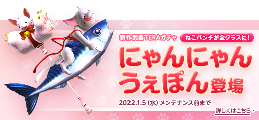 お知らせ 最高峰のファンタジーmmorpg Tera メンバーサイト