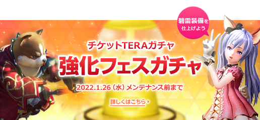 お知らせ 最高峰のファンタジーmmorpg Tera メンバーサイト