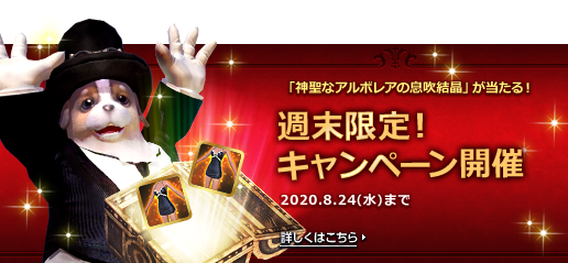 週末限定！キャンペーン開催