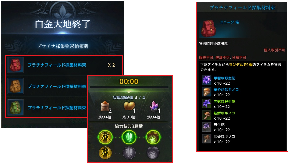 特殊ダンジョン Lost Ark ロストアーク Pmang公式 ゲームオン運営