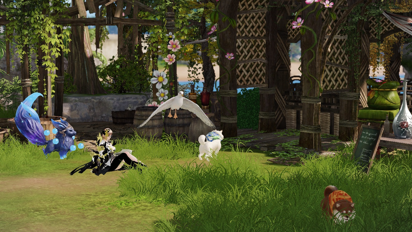 ペット牧場 Lost Ark ロストアーク Pmang公式 ゲームオン運営